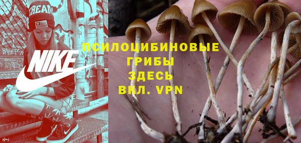 марки nbome Аркадак
