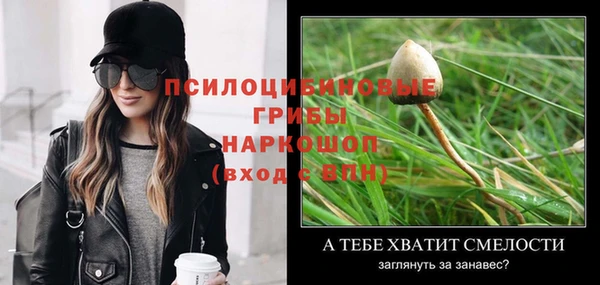 МДМА Арсеньев