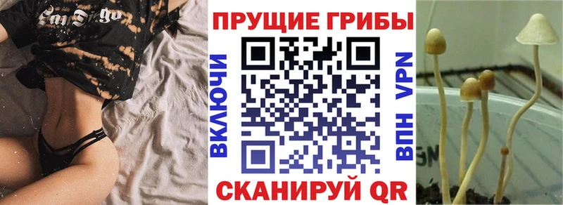Галлюциногенные грибы мицелий  Россошь 